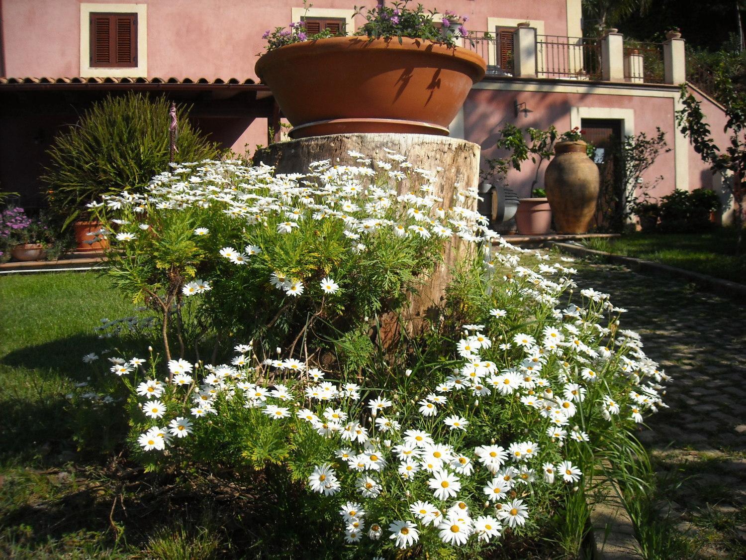 Agriturismo Villa Luca SantʼAgata di Militello Extérieur photo